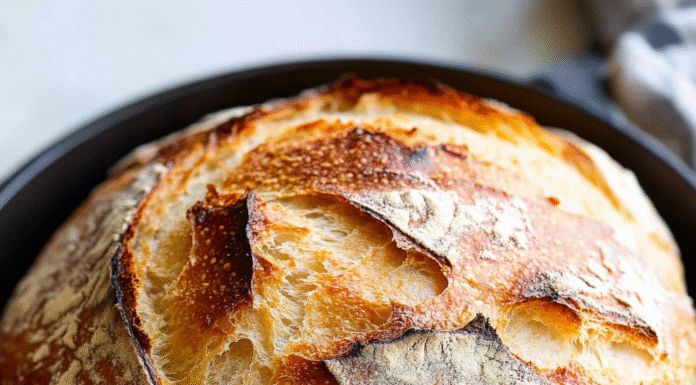 Easy No Knead Bread Dutch Oven Recipe for Perfect Crust