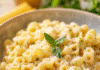 10 Irresistible Ditalini Pasta Recipes for Comfort Food Lovers